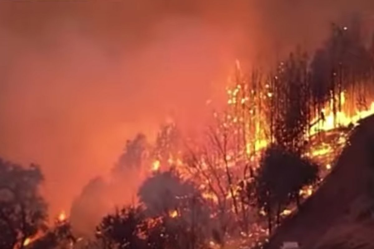 Incêndios florestais na Califórnia chegam a Los Angeles
