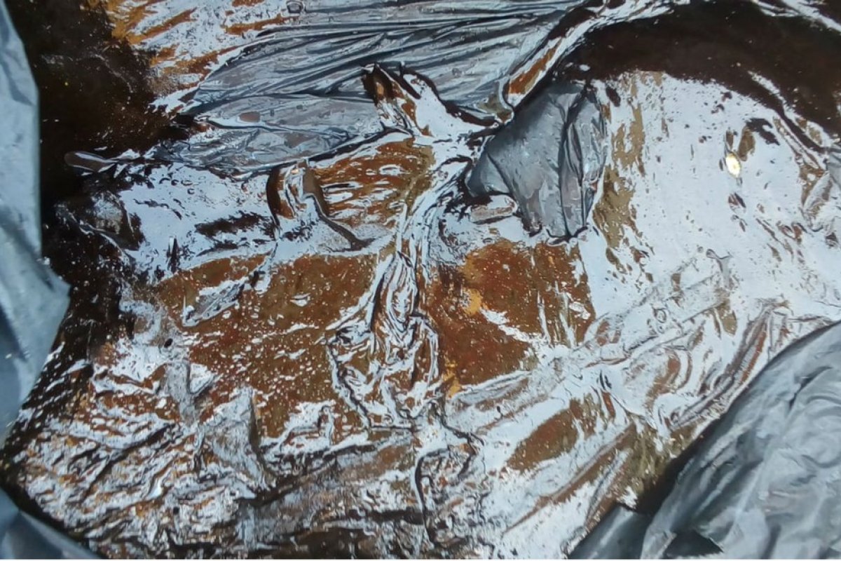 Sobe para 19 o número de municípios na Bahia atingidos pelas manchas de óleo