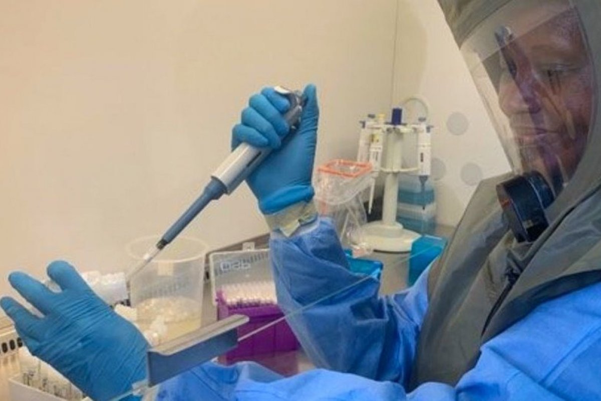 Reino Unido faz alerta à OMS sobre caso raro de varíola dos macacos