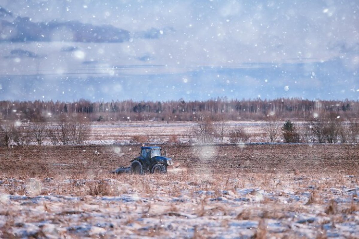 Onda de frio intenso ameaça plantações e pode aumentar ainda mais a inflação