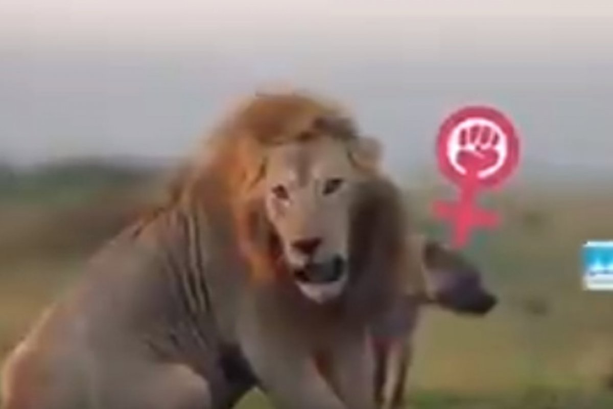 Bolsonaro diz que vídeo com leão e hienas foi um 'erro'