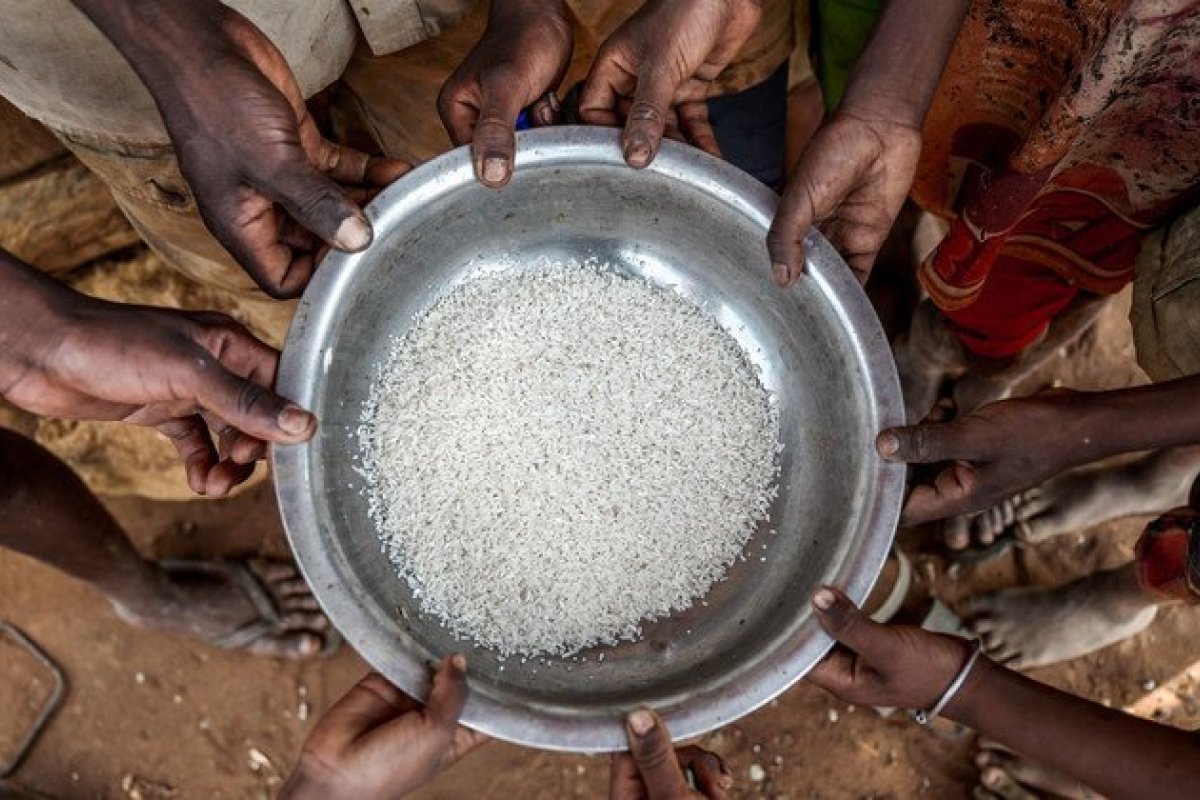 ONU: fome no mundo aumentou em mais de 500% desde 2016