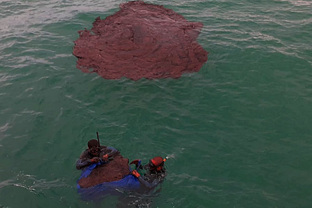 MP discute impactos socioeconômicos e ambientais do vazamento de óleo