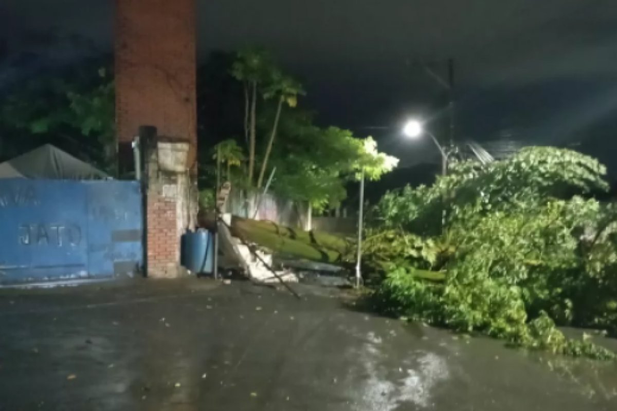 Ventania faz árvore cair e derrubar muro e poste em Salvador