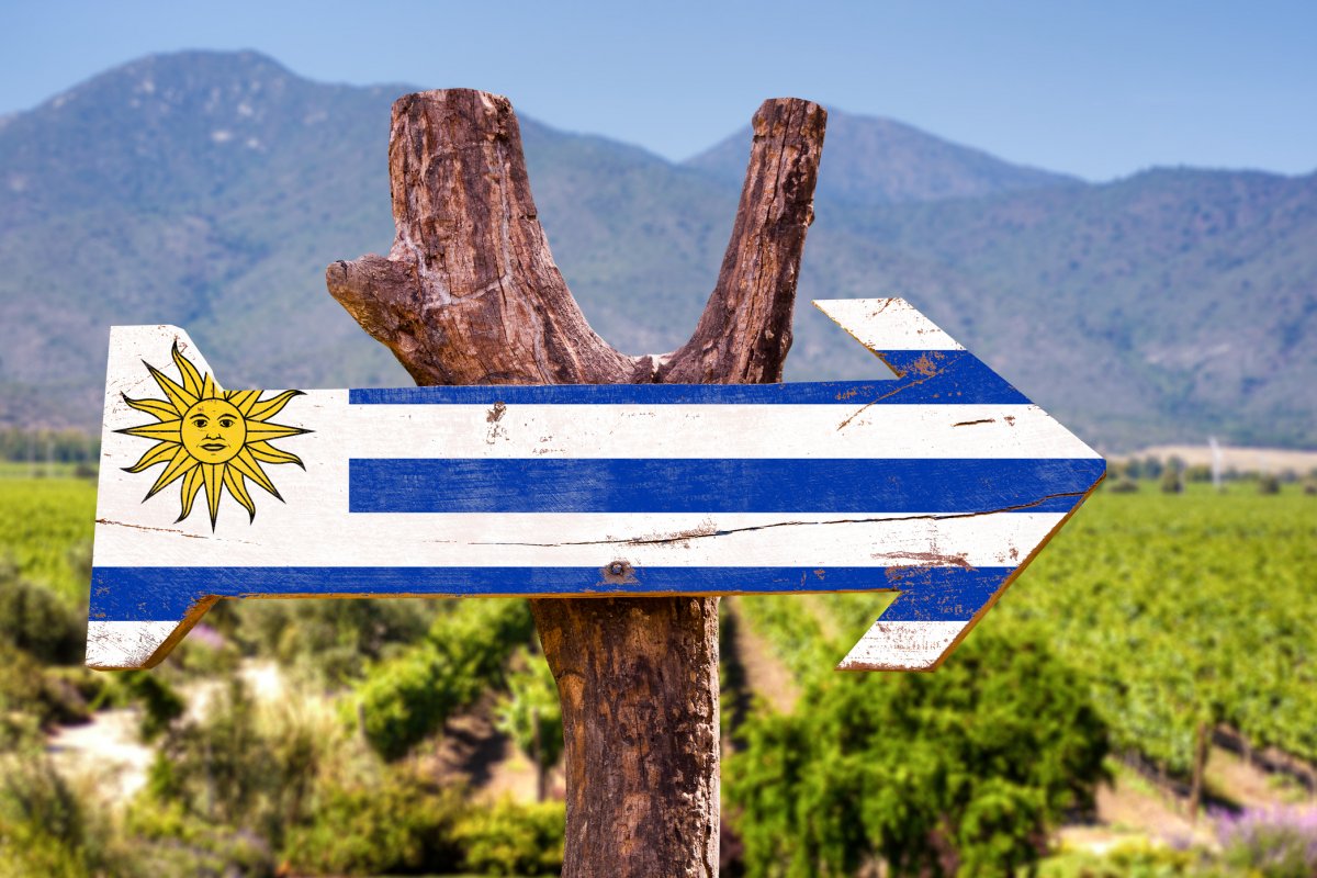 Uruguai aposta no enoturismo para atrair novos visitantes