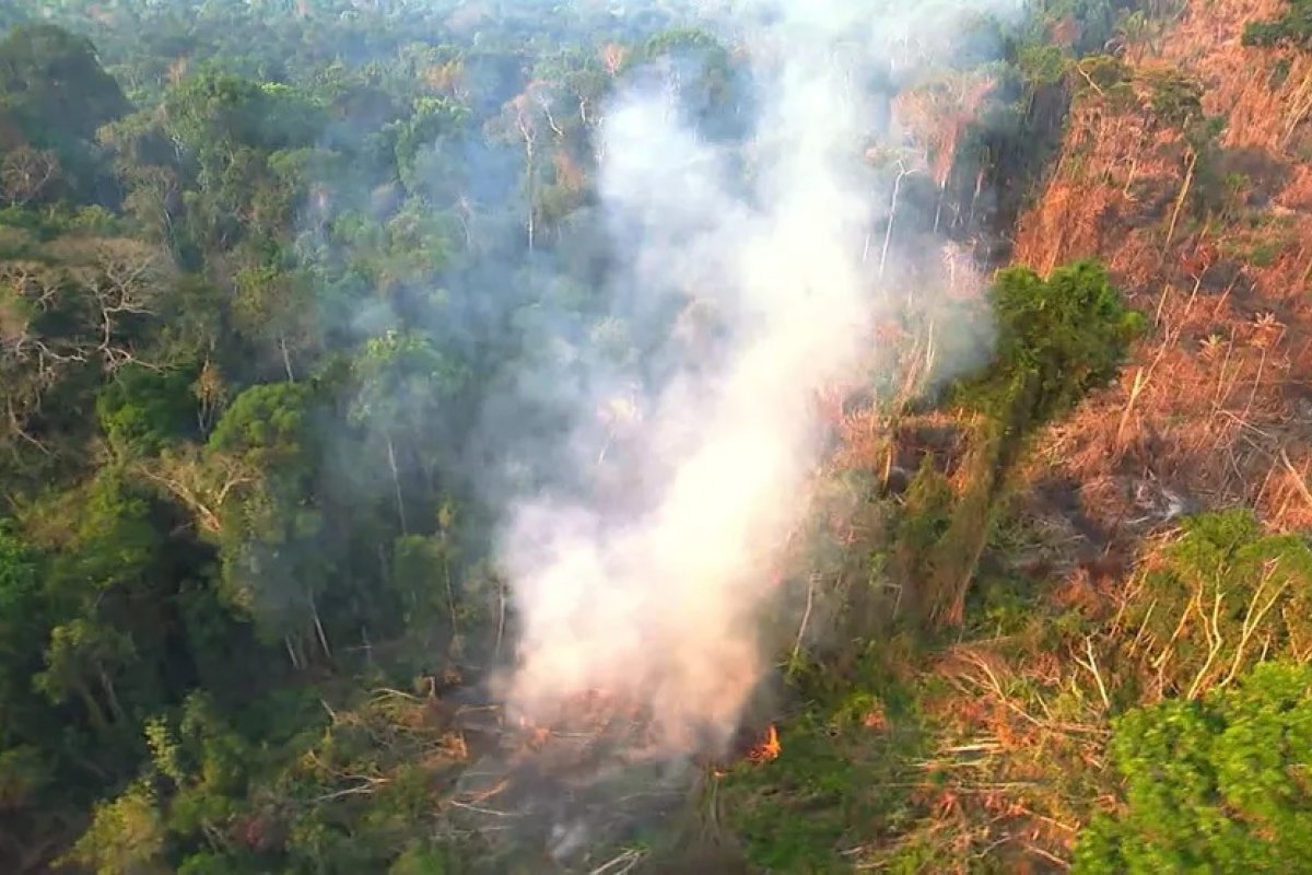 Inpe: Amazônia tem maior número de incêndios em maio desde 2004