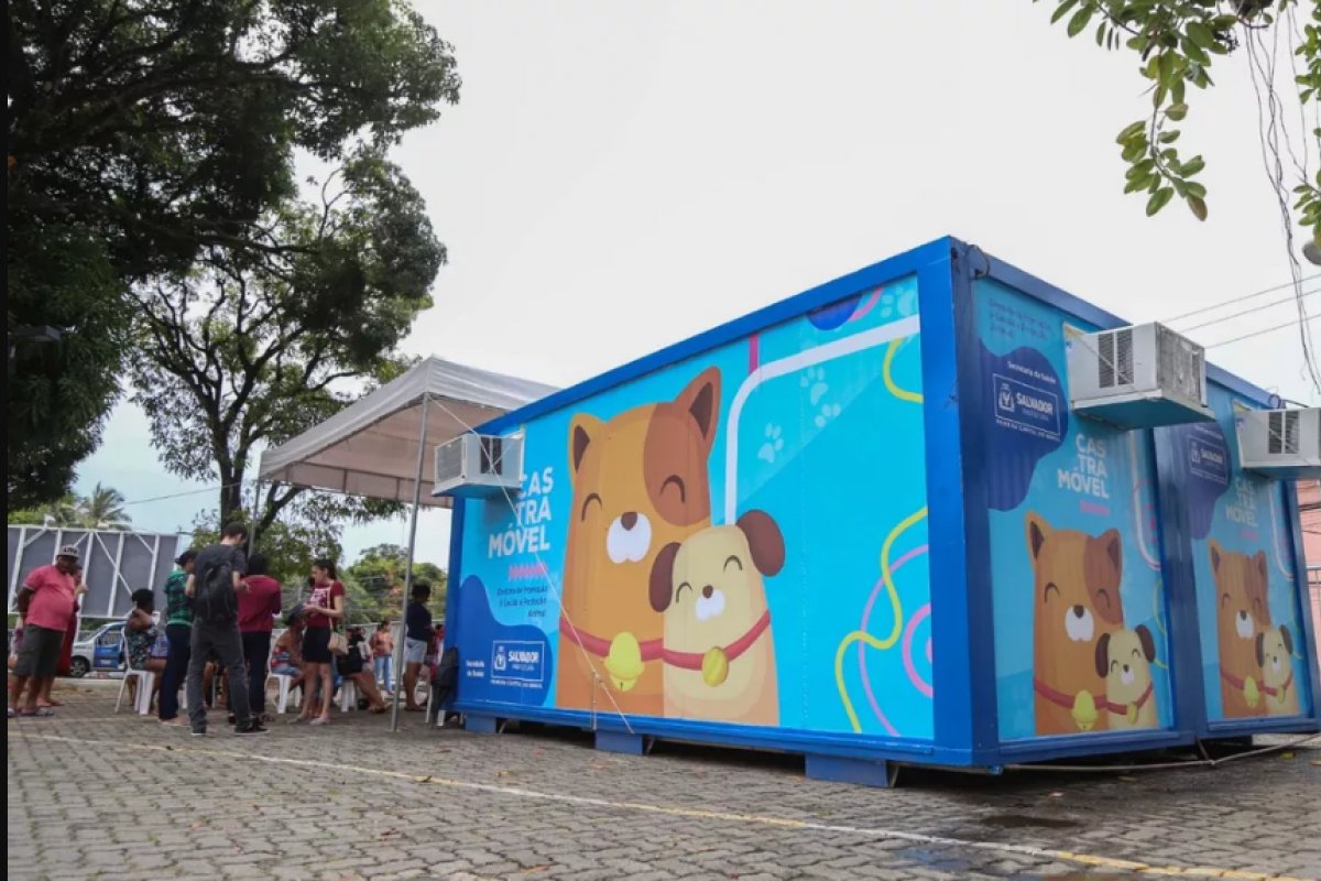 Salvador: Castramóvel atende no Parque da Cidade a partir desta segunda (06)