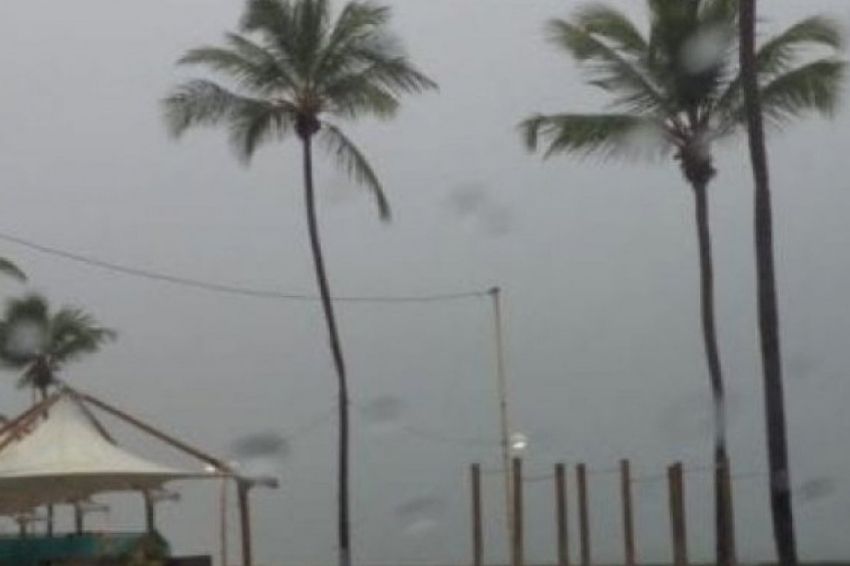 Fortes rajadas de ventos provocam transtornos em Salvador