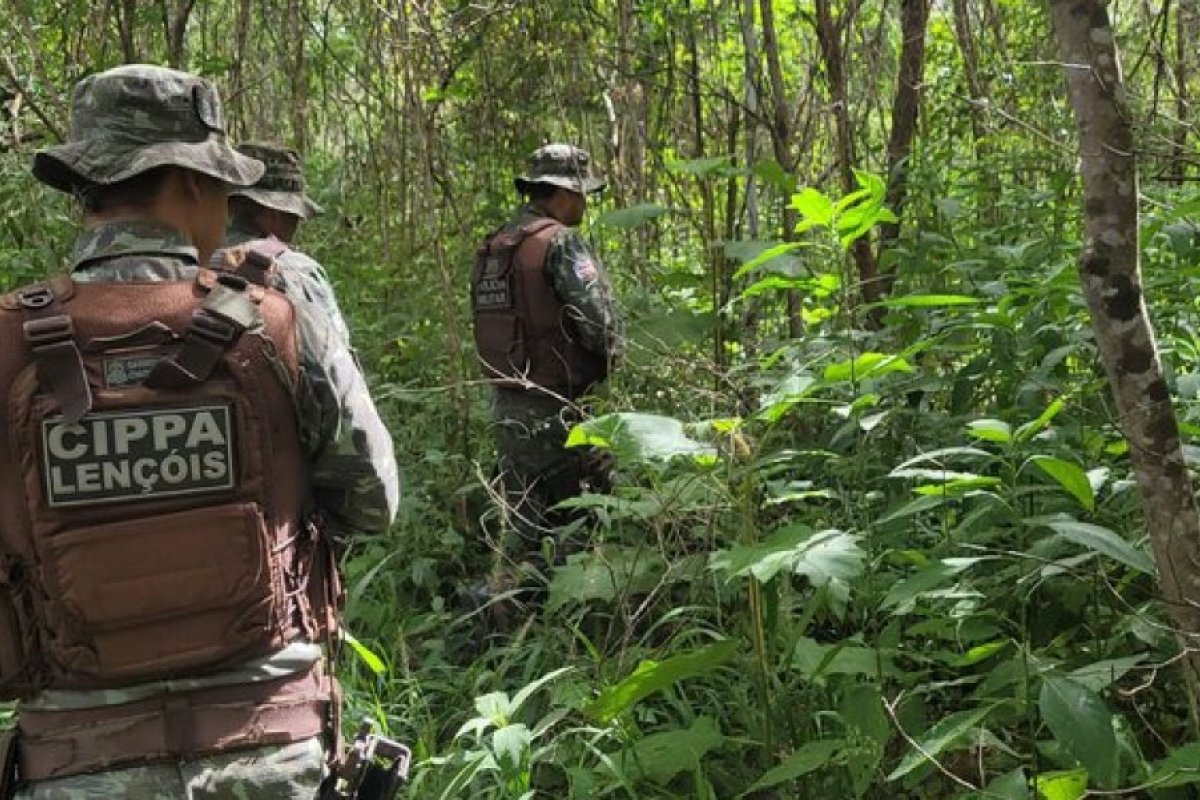 Polícia apreende mais de mil animais silvestres em um ano e meio na Bahia
