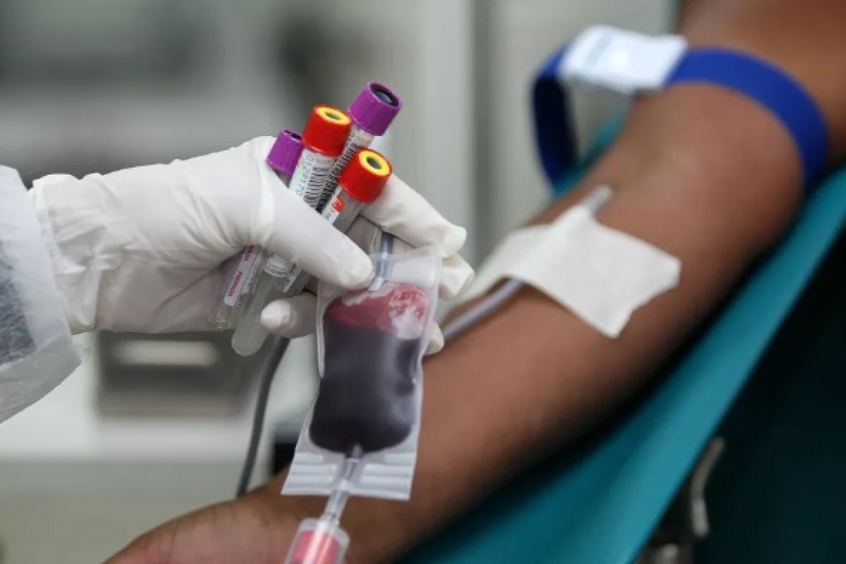 Junho vermelho: o mês em que a doação de sangue pode salvar milhares de vidas