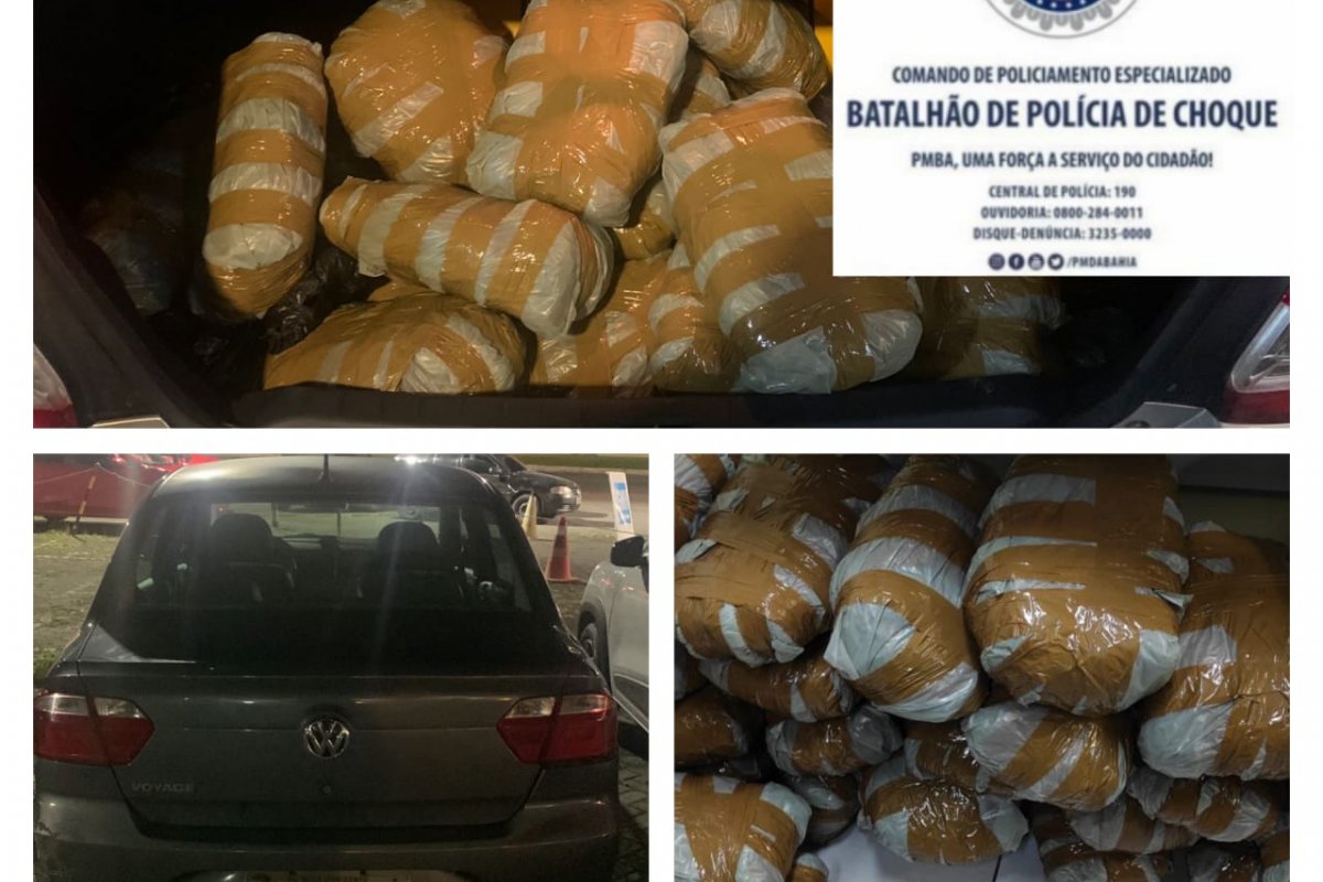 Salvador: PM apreende 25 kg de maconha em Narandiba