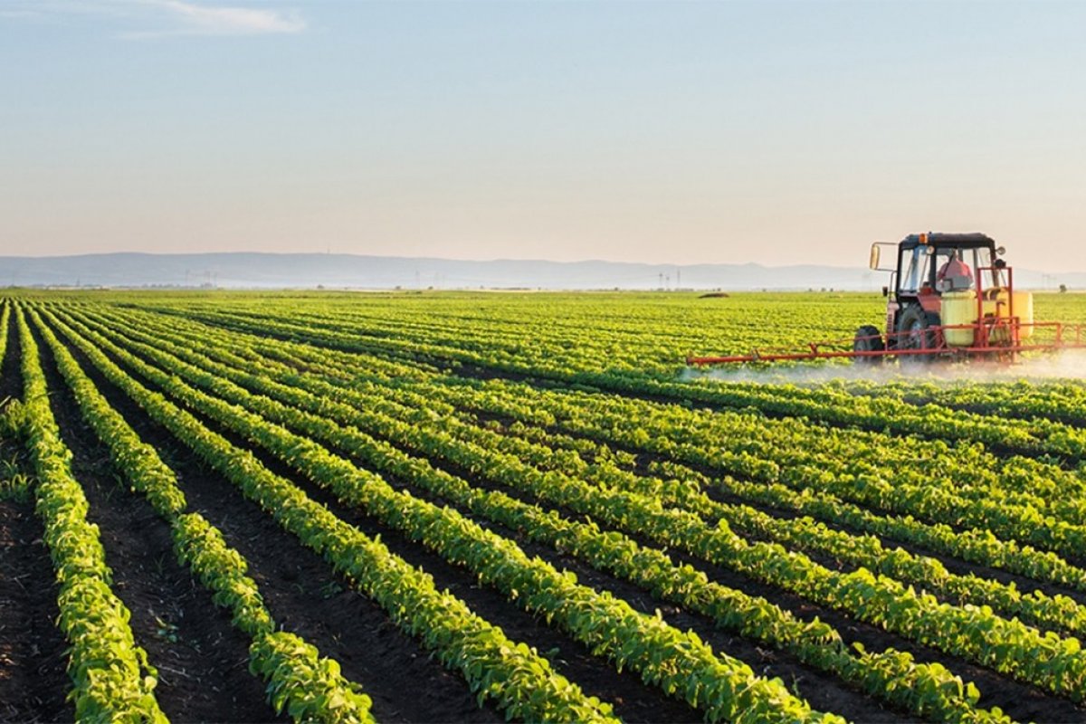 Brasil está no centro da produção agropecuária sustentável em todo o mundo, diz estudo