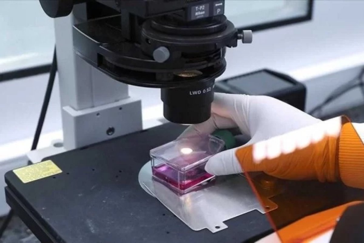 Ministério da Saúde confirma terceiro caso da varíola dos macacos