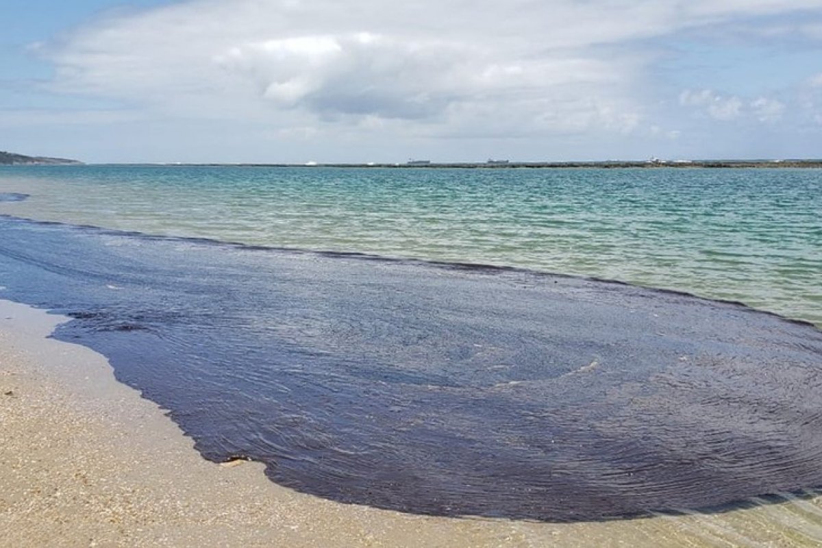 PF deflagra operação que visa esclarecer derramamento de óleo no litoral brasileiro