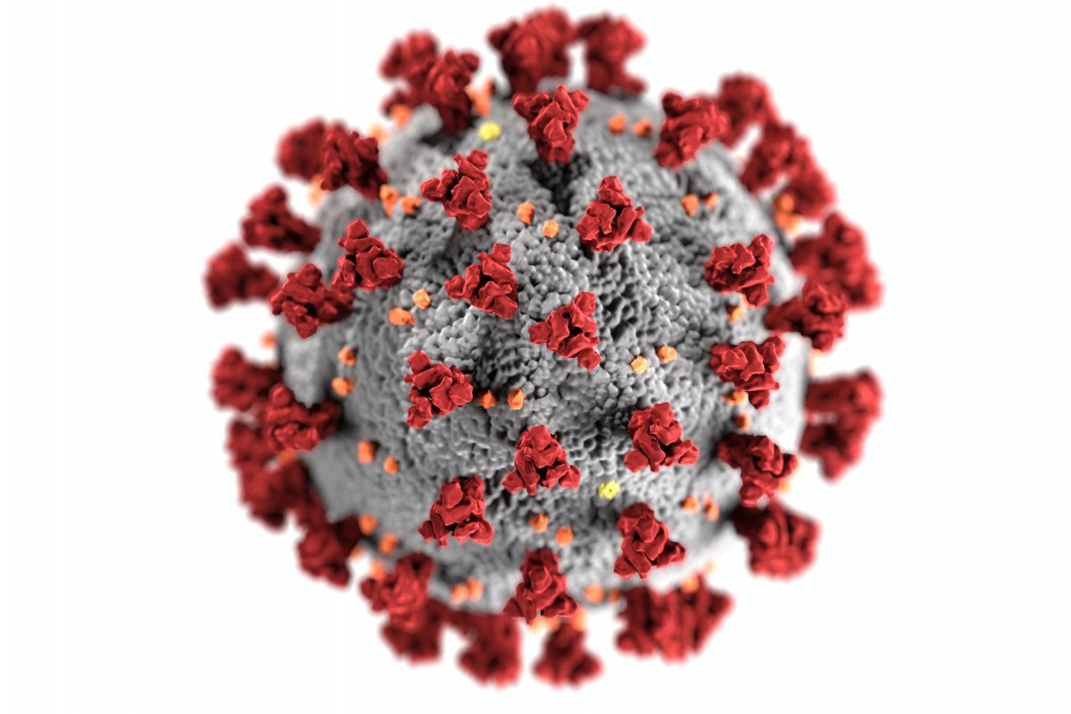 Covid: estudo aponta que contaminação pela Ômicron em janeiro não protege contra versão que circula agora no Brasil