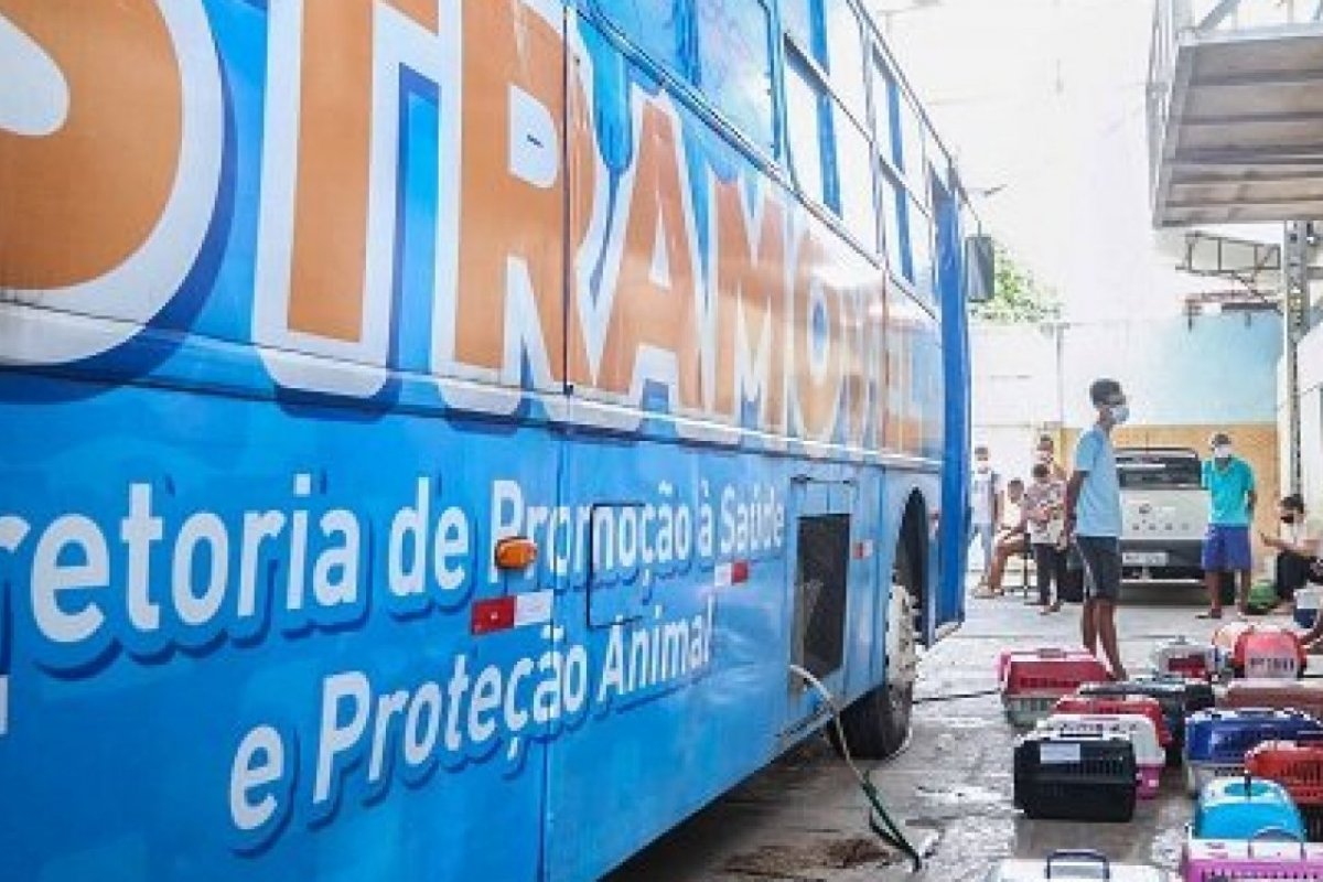 Atendimento em castramóvel é suspenso após furto de cabo de energia