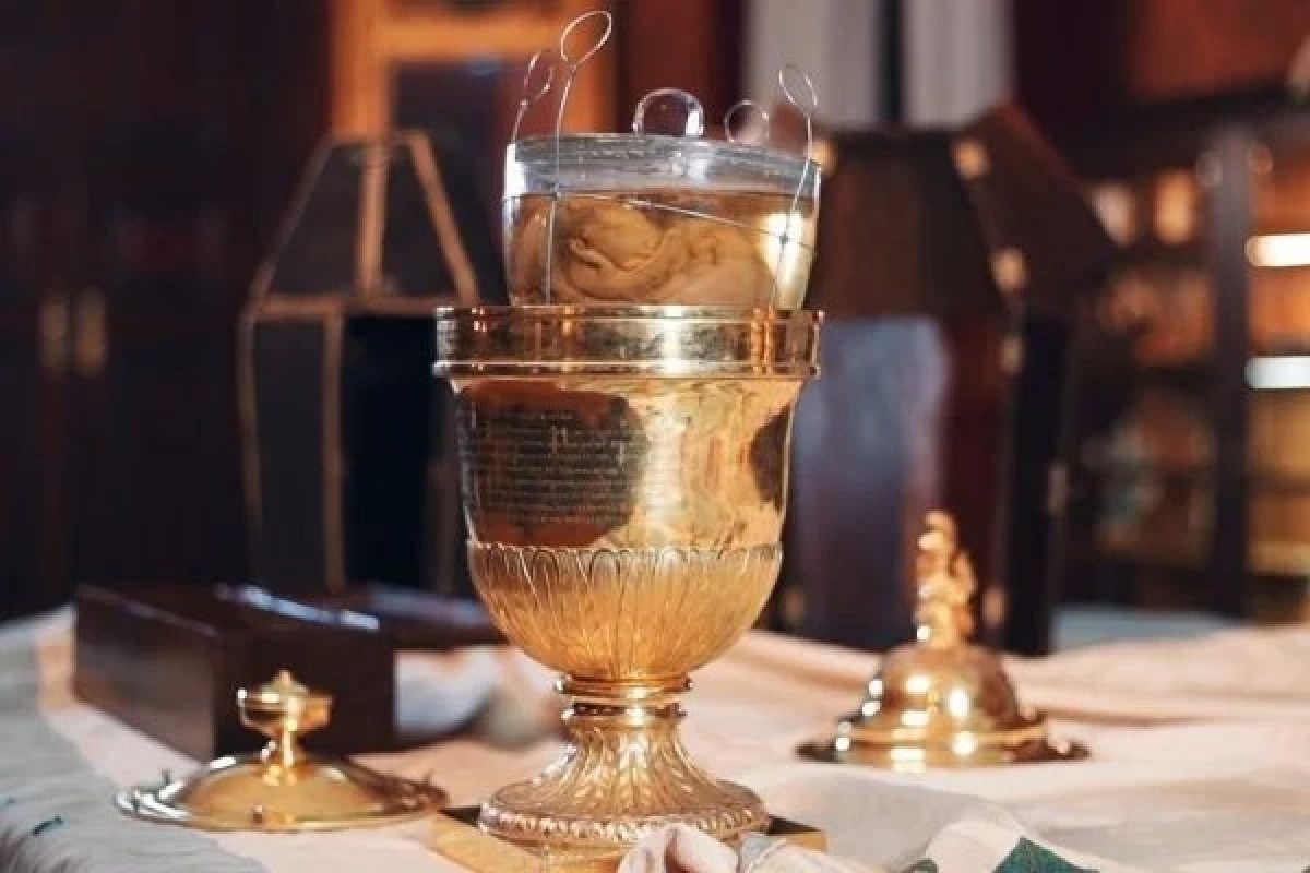 Portugal enviará coração de Dom Pedro I para comemoração de 200 anos da Independência