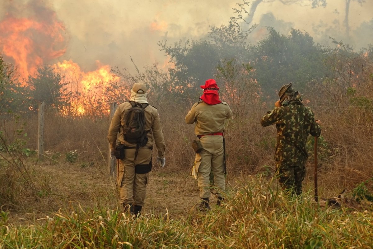 947 focos de incêndio são combatidos pela Operação Verde Brasil