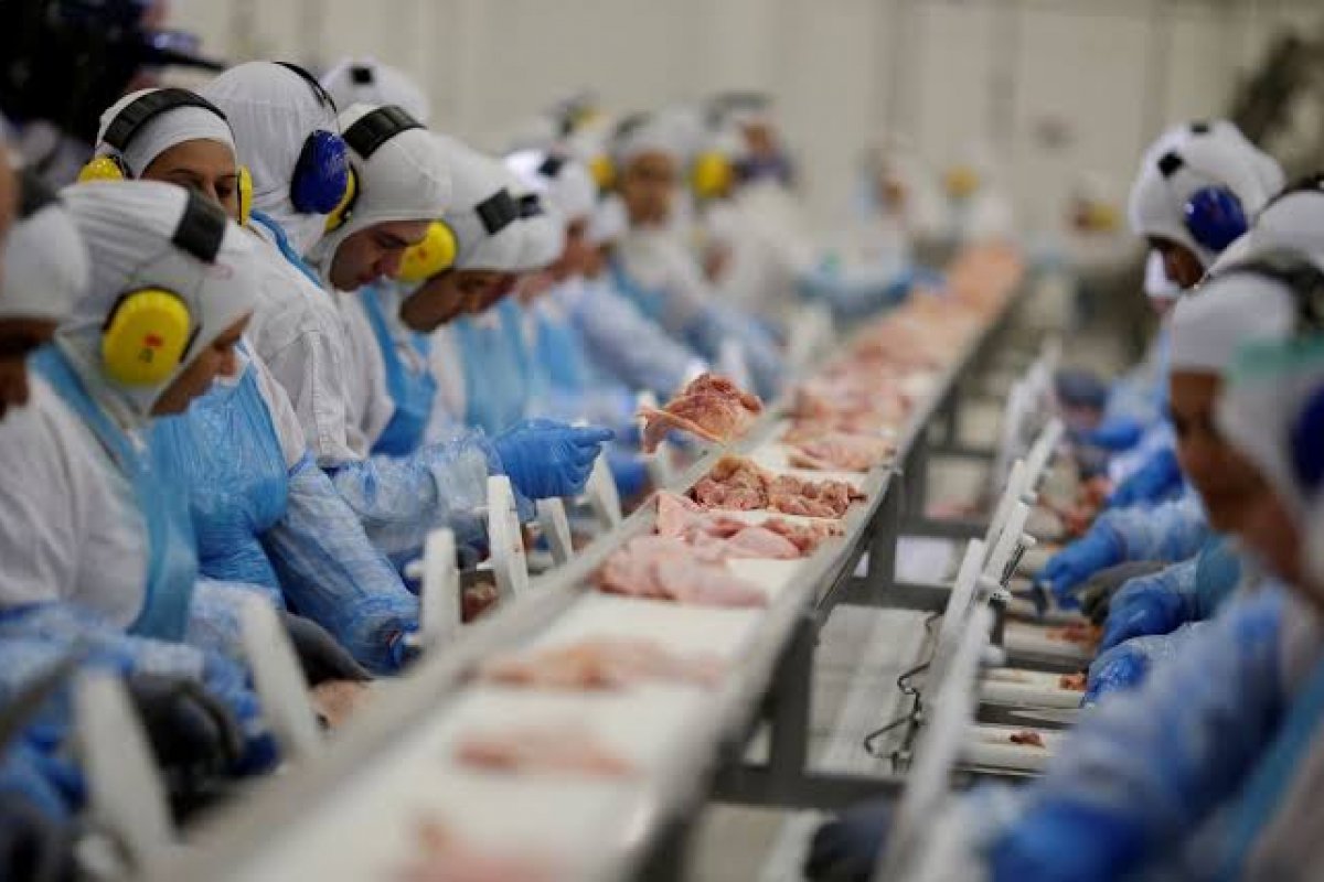 Exportação de frango cresce quase 40% em maio, aponta ABPA
