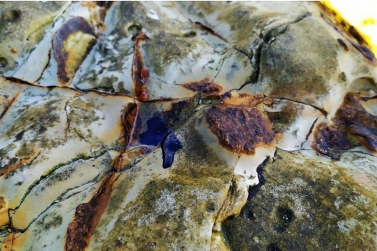 Marinha: manchas de óleo são encontradas em Abrolhos