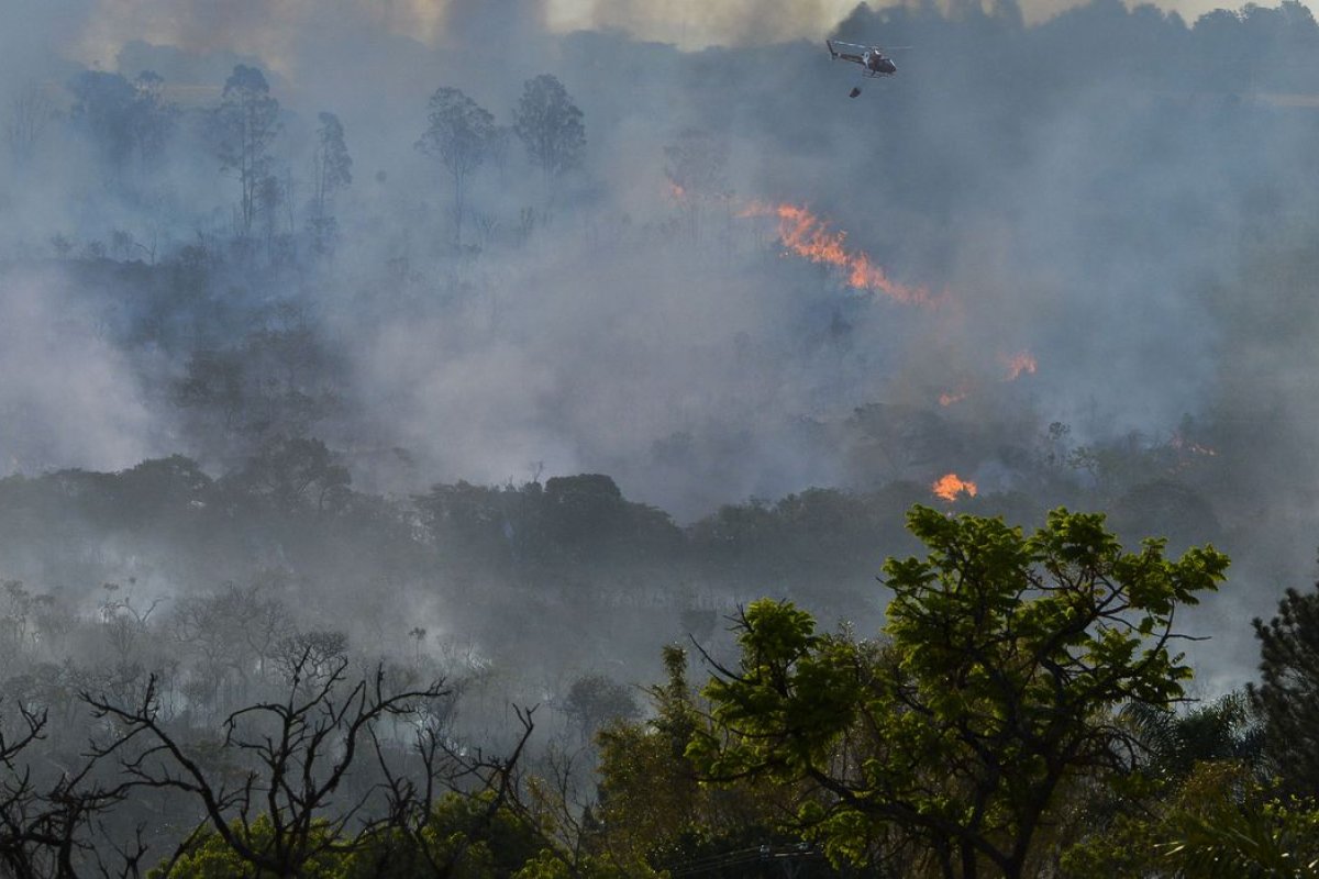 Decreto presidencial suspende queimadas em território nacional por 120 dias