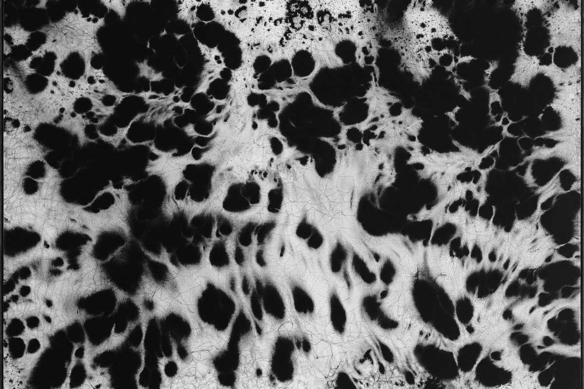 Paula Klien tem duas obras expostas na mostra de obras inéditas do acervo do Museu de Arte Contemporânea de Sorocaba (MACS)