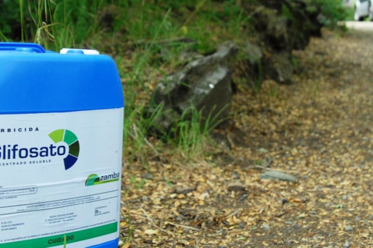 Glifosato deixa de ser considerado "extremamente tóxico" no Brasil