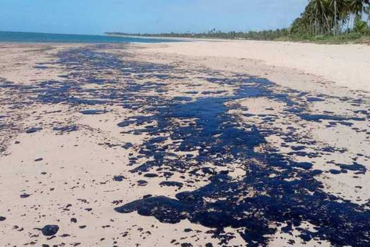 Quatro praias de Salvador são atingidas novamente pelas manchas de óleo