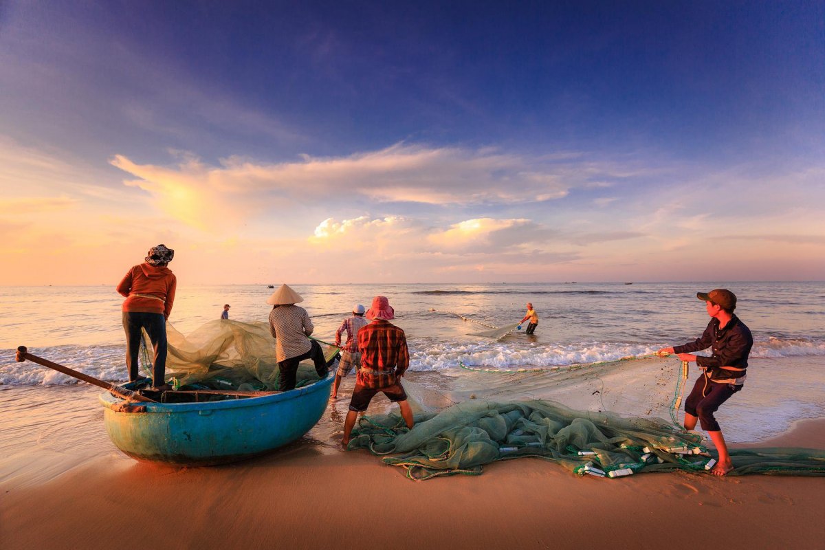 Mundo atinge recorde de pesca e aquicultura em 2020