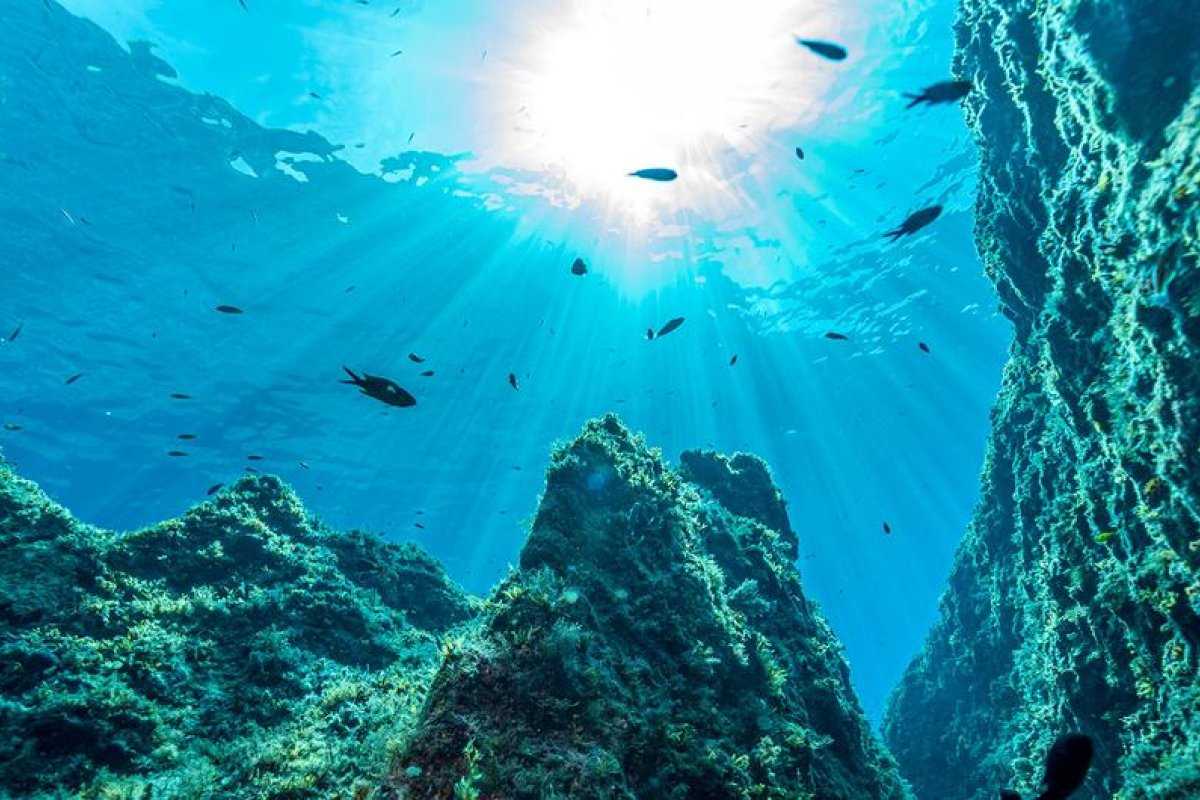 Conferência da ONU em Lisboa termina com promessa de “mudança transformadora” para os oceanos