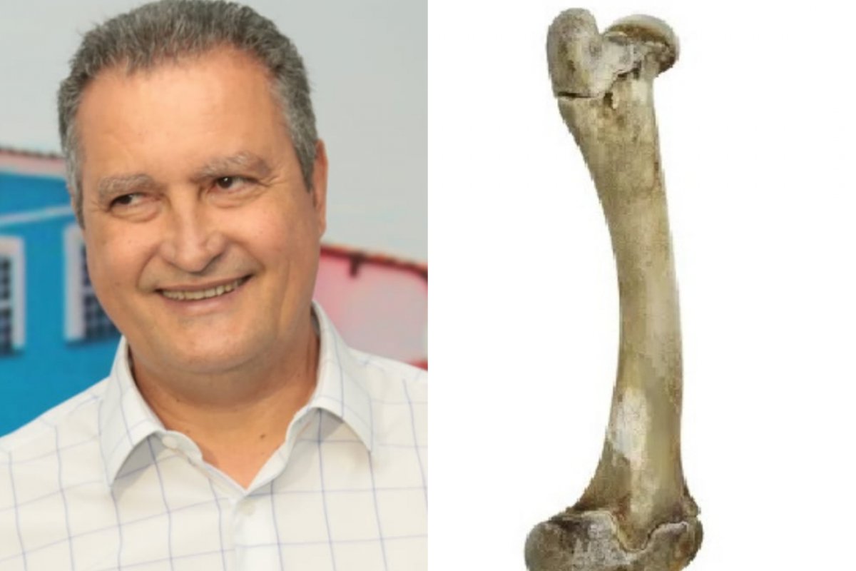 Larga o osso Ruinzinho!!