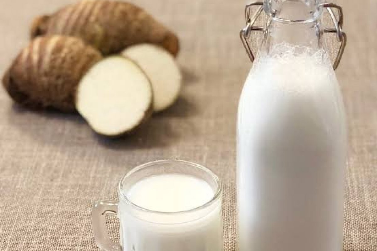 Marca lança linha de leites vegetais com propriedade nutricional igual à do leite de origem animal!