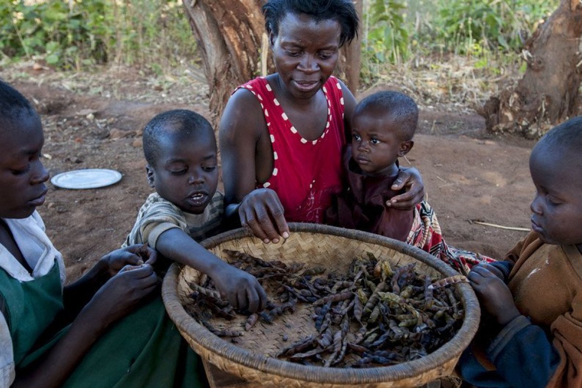 Fome cresce no mundo e atinge 9,8% da população, aponta ONU