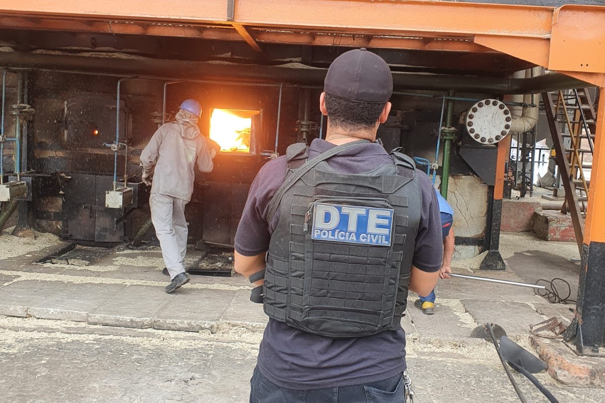 Operação Narco Brasil incinera 5 toneladas de drogas apreendidas na Bahia