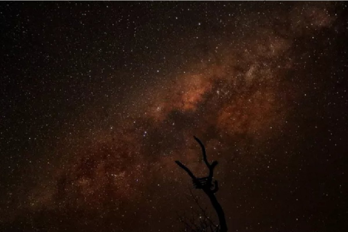 Fotógrafo faz registro de Via Láctea no Pantanal e impressiona seguidores