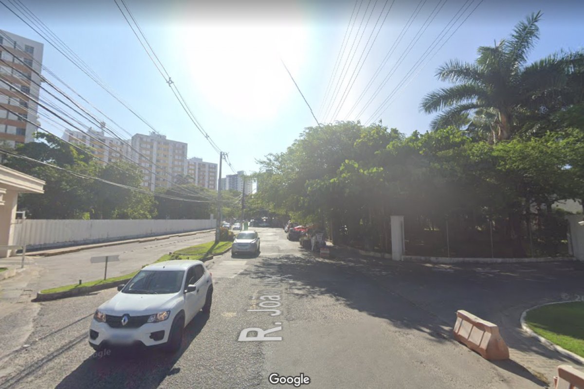 Salvador: árvore cai na pista e prejudica fluxo de veículos na região do Imbuí