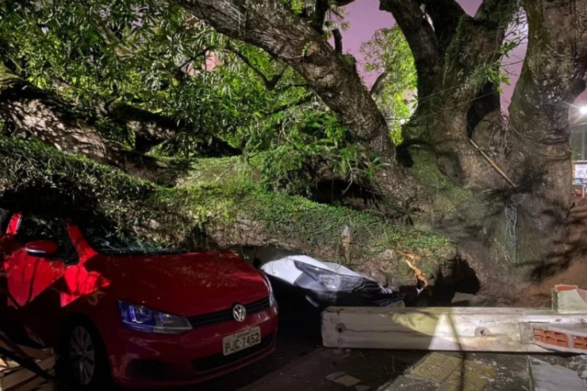 Via segue interditada no Imbuí após queda de árvore