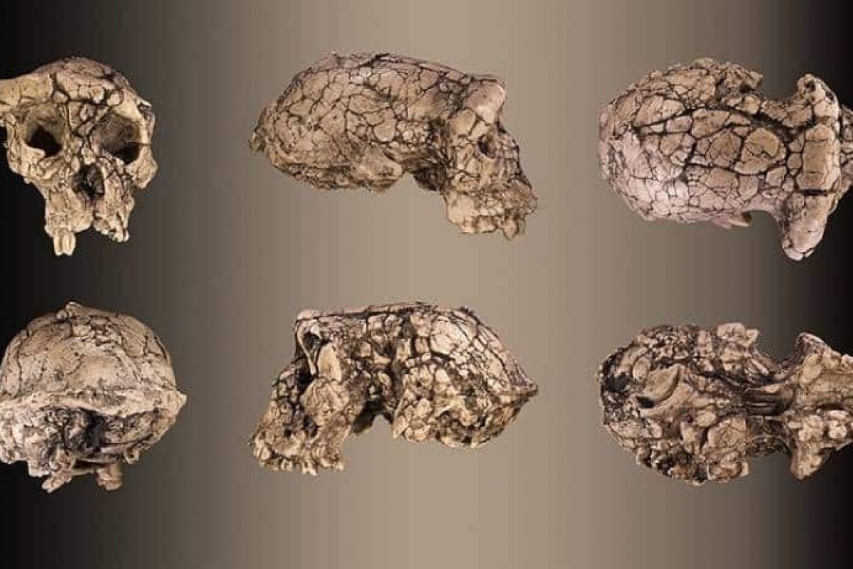 Fóssil humano que seria o mais antigo da Europa é descoberto na Espanha