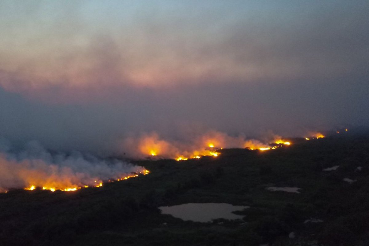 Incêndio no Mato Grosso do Sul se alastra e pode chegar a cerca de 130 mil hectares