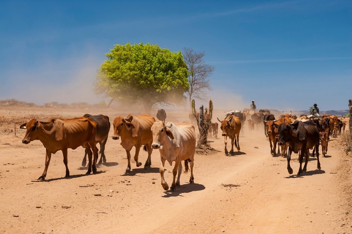 Projeto "Bahia no Clima" apoiará 10 municípios baianos e abrirá programação ao público!