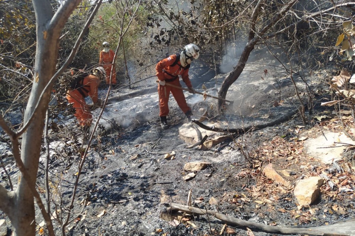 Bahia registra queda de 10,1% no número de queimadas em 2022