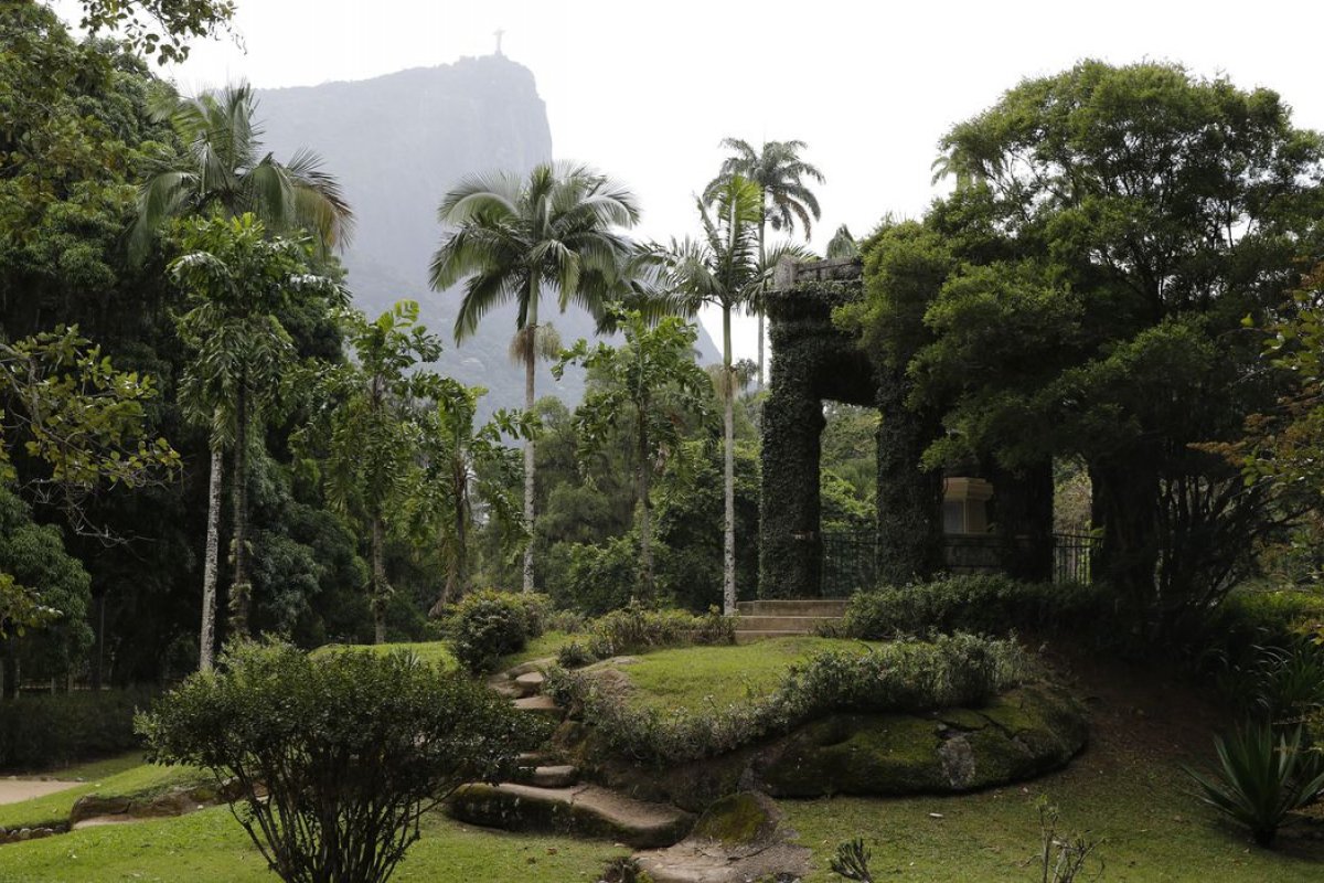 Acervo fotográfico do jardim botânico do Rio de Janeiro será revitalizado