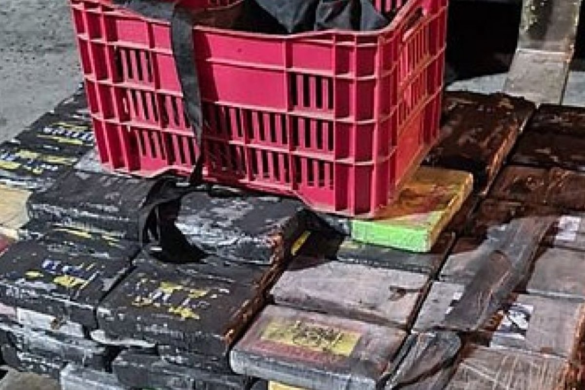 MPF-BA denuncia 18 pessoas por envio de cocaína em contêineres para Europa
