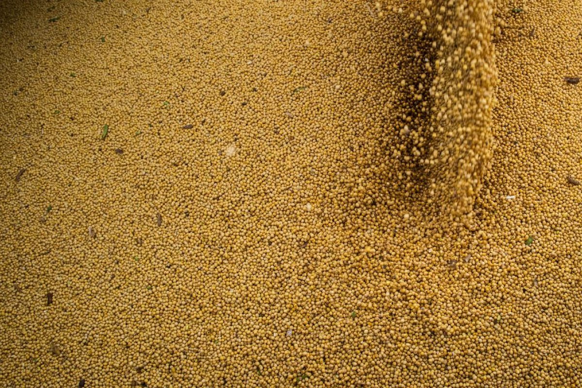 Exportações e importações podem bater recorde, diz AEB