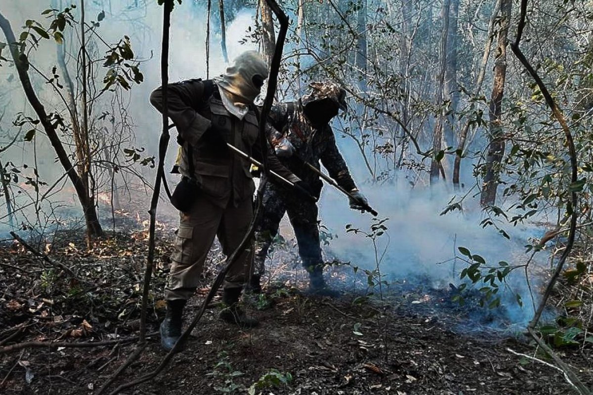 Mato Grosso do Sul declara estado de emergência em 14 cidades devido a incêndios no Pantanal