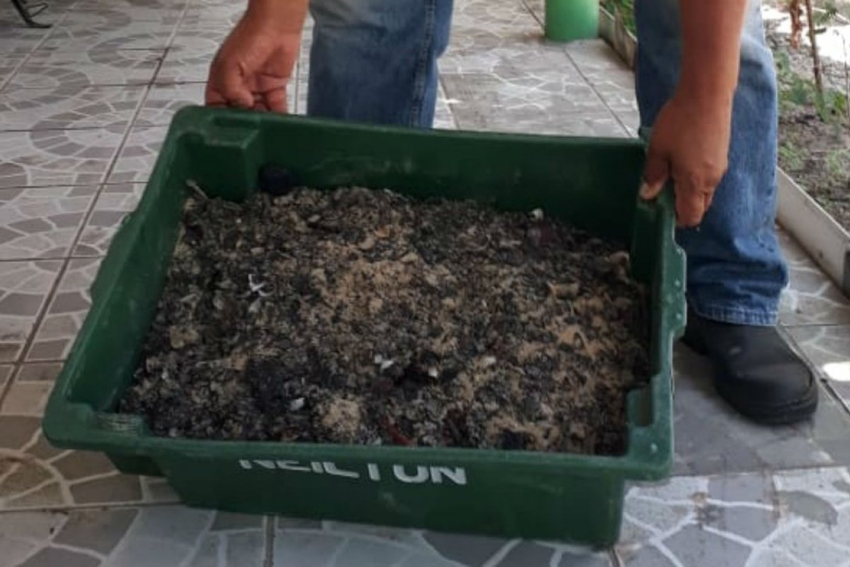 Manchas de óleo são removidas no litoral de Alcobaça, região de Abrolhos