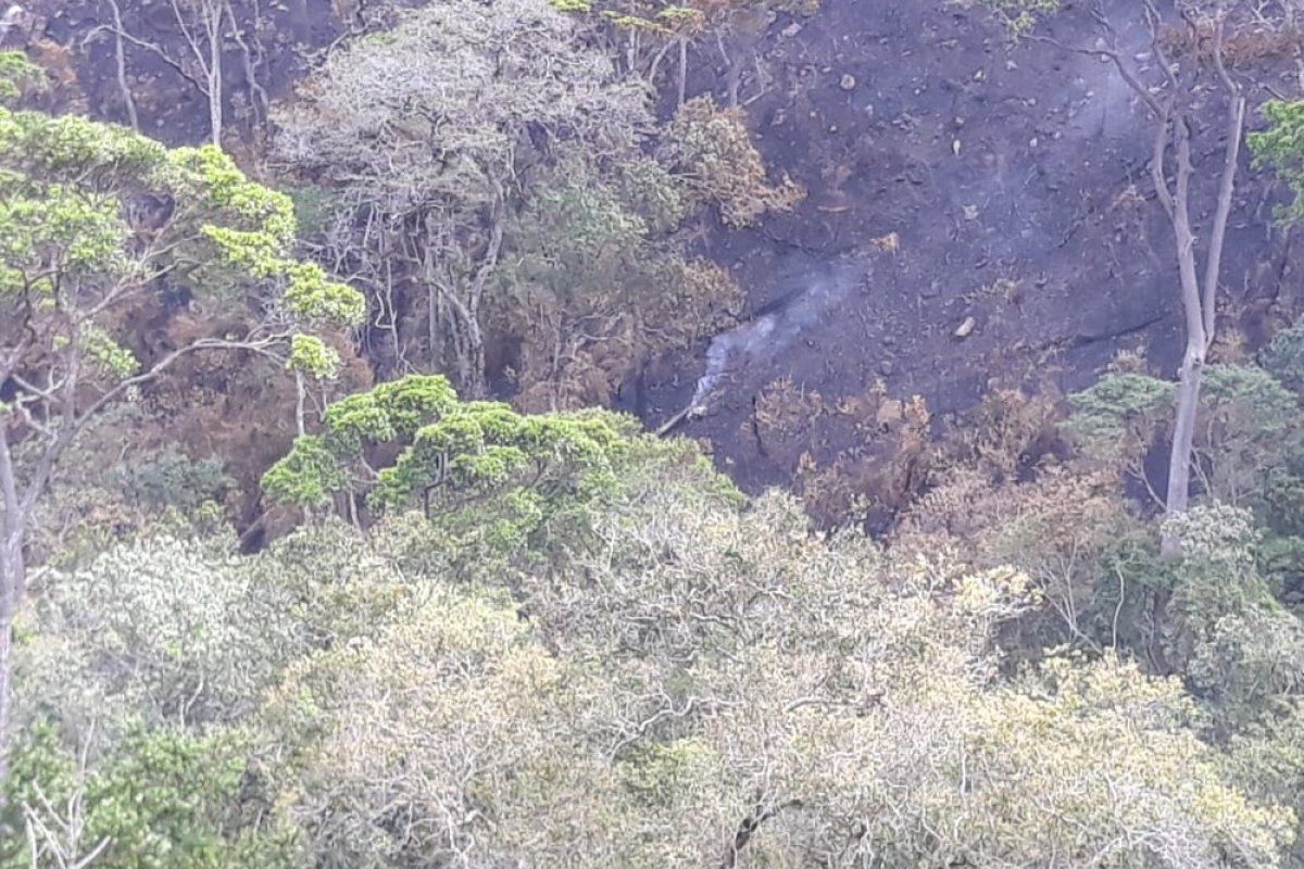 Incêndio no Rio das Contas atinge novamente vegetação após contenção
