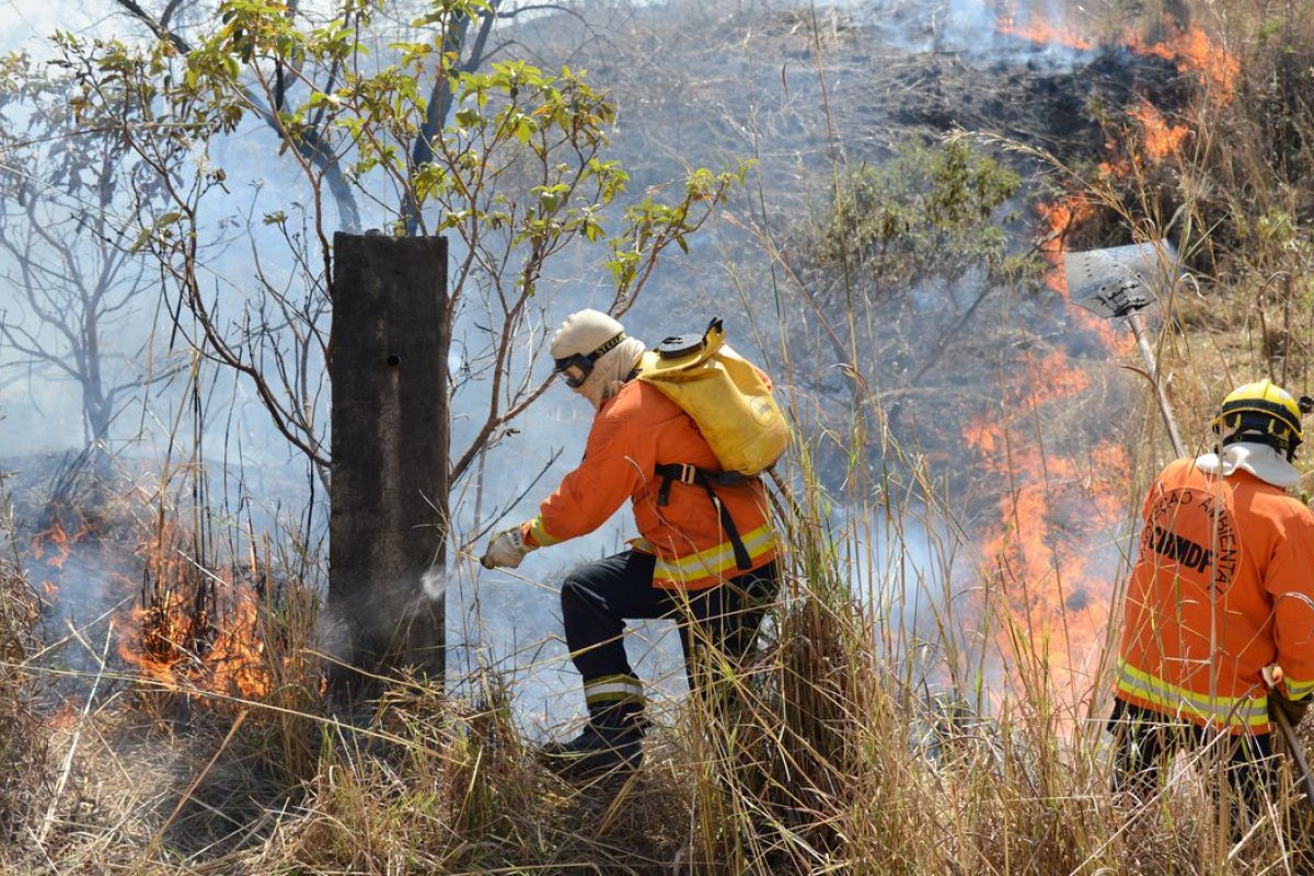 Focos de incêndio no Brasil tiveram aumento de 350% no 1º semestre
