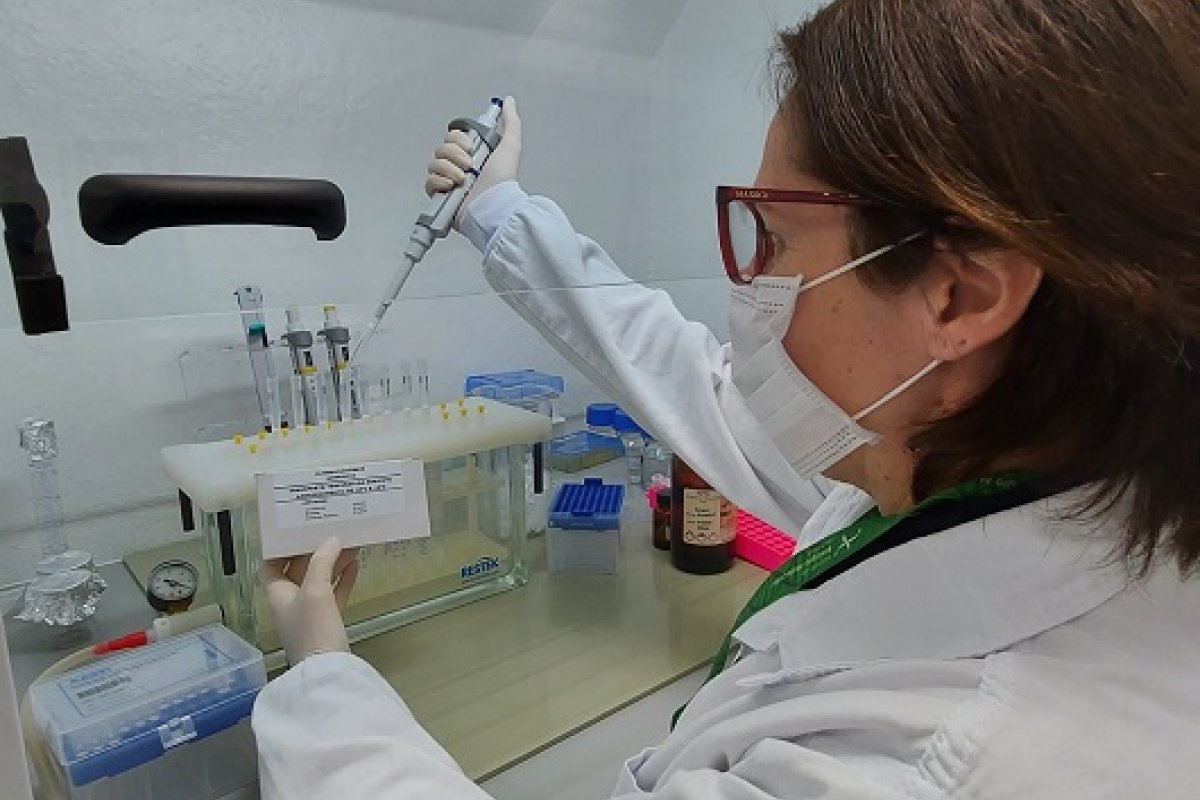 Brasil identifica primeiros casos de varíola dos macacos em crianças