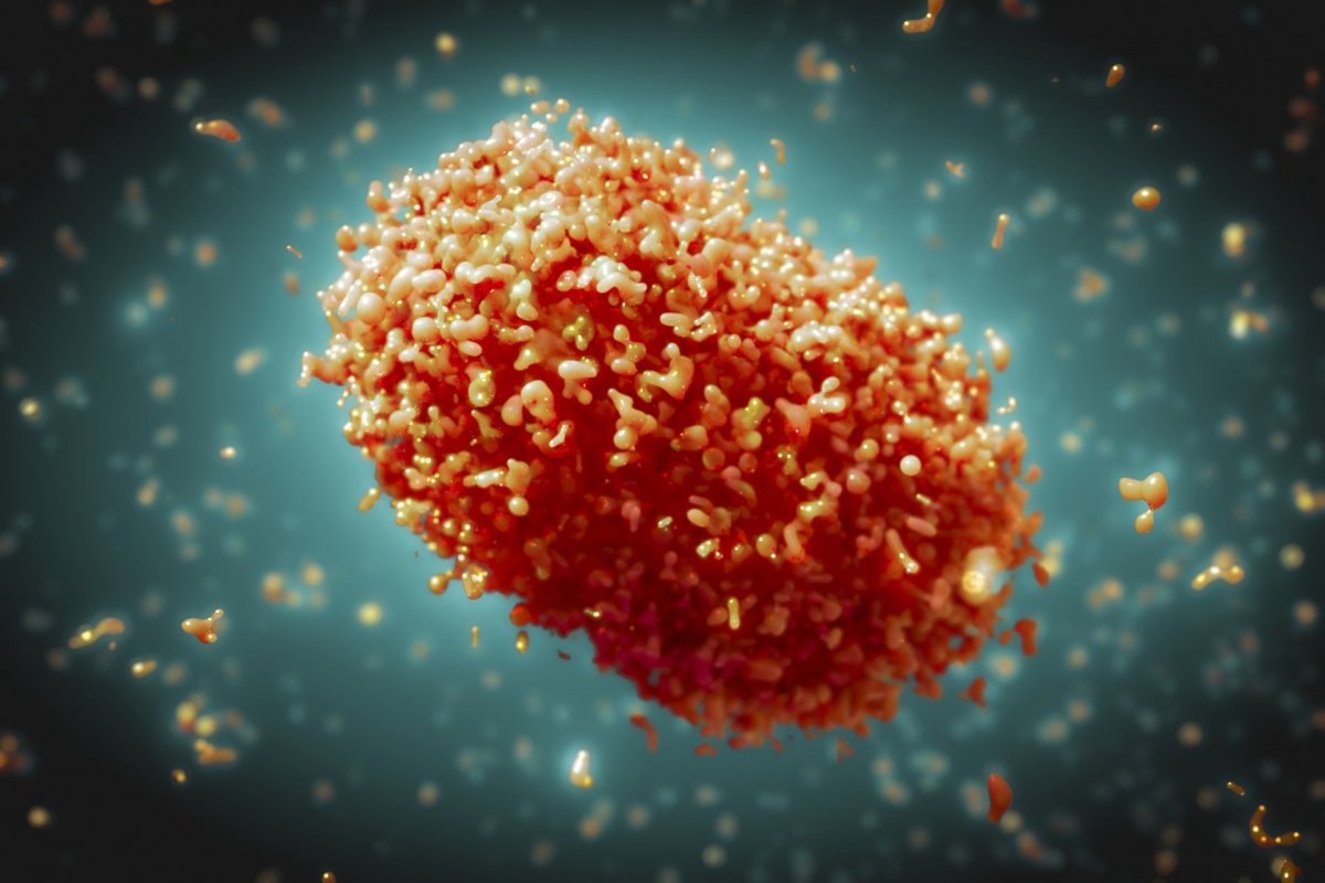 Espanha confirma primeira morte por varíola dos macacos na Europa